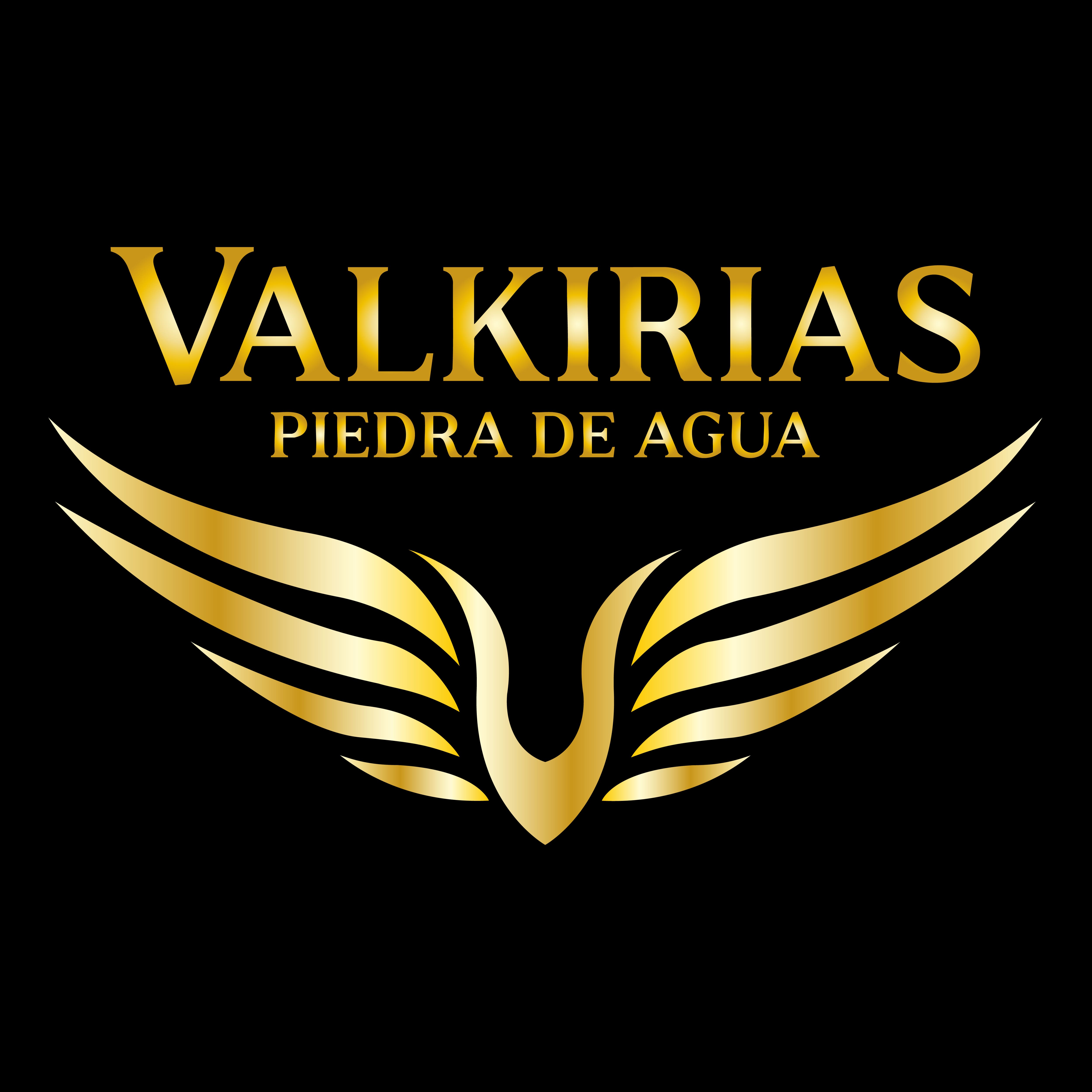 Logo Valkirias